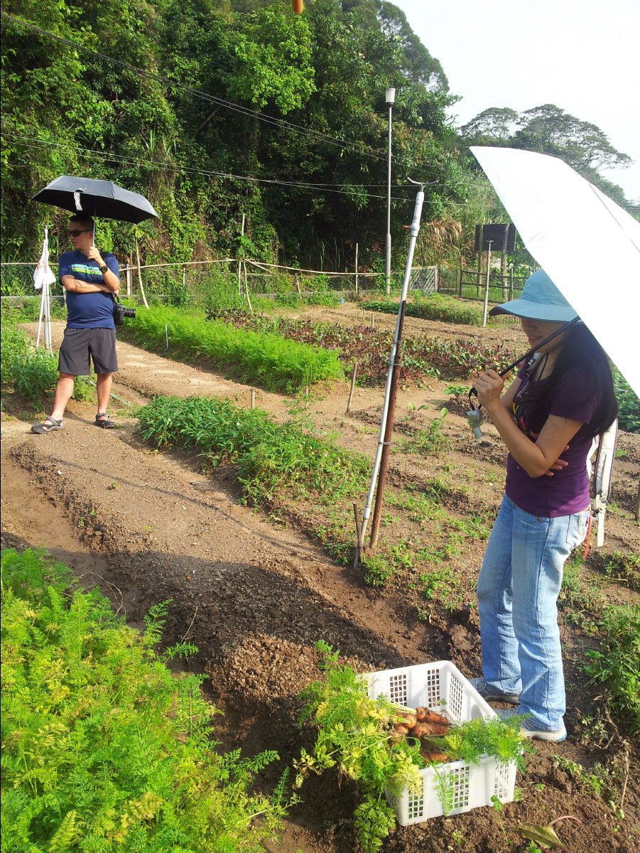 20120422Organic Farm26
